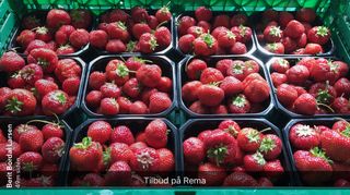 Jordbærsylteøy